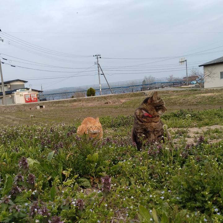 Dc4764f8 592c 4f30 b12e 62137a815e5a 1680685584085