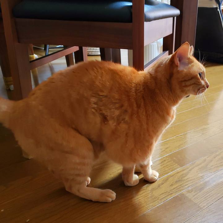 Dc478431 b7bb 42c7 a1e2 308931bfbf25 1728703483275