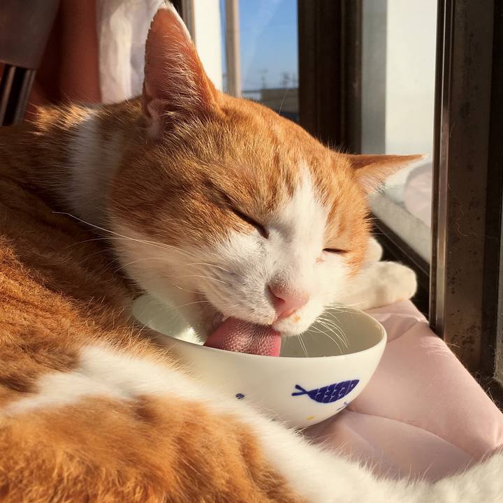 Dc47c68a 9876 42cd 9b4a a4028f4c1d58 1577274607901