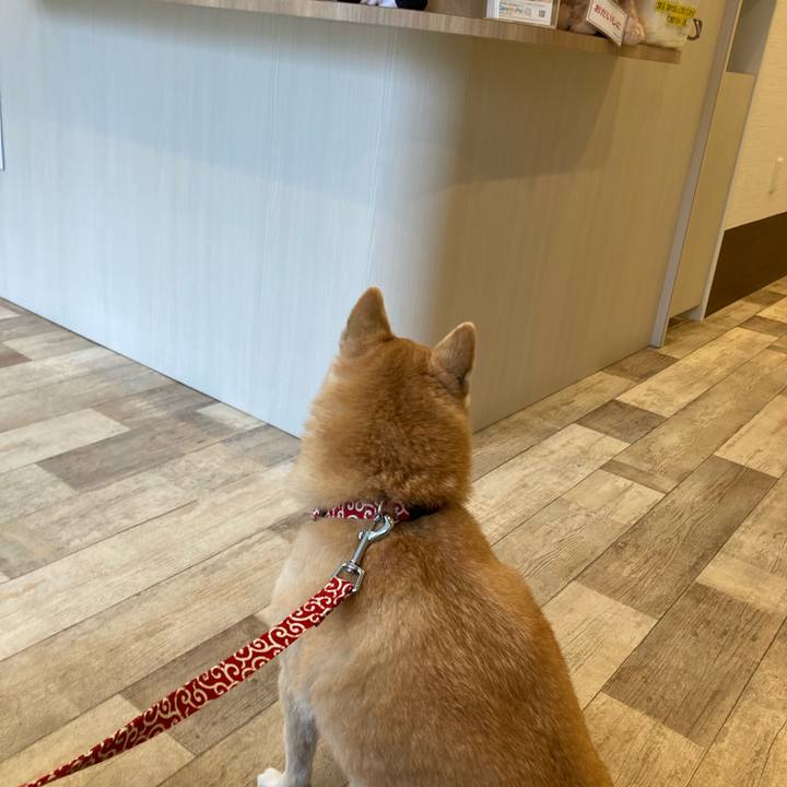 Dc47c927 3ec4 4752 89d2 87c20bc724c9 1611456436636