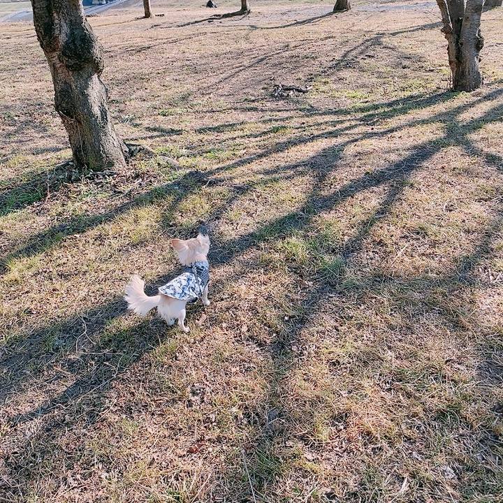 Dc482af6 e85e 48ab 942a 3339aa80dd7e 1611123893772