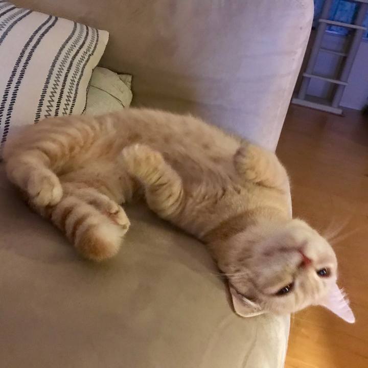 Dc482dd4 4c0a 4943 b873 054ddf31cba0 1529361632562