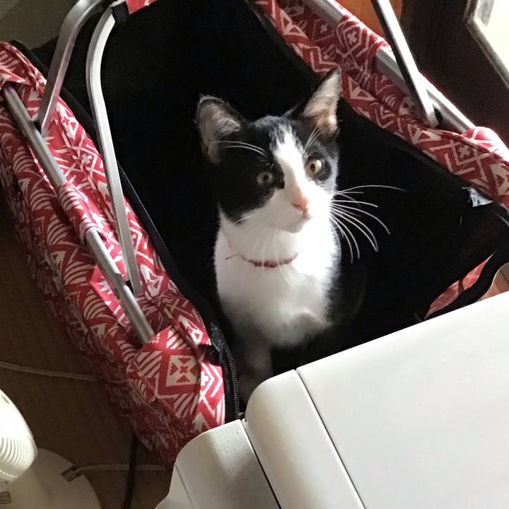 Dc48440d f117 4f5a 9a4b acf09bd30be1 1627889213190