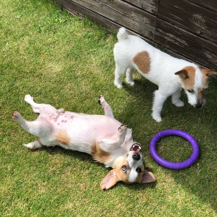 Dc489d1d 2c8d 49f1 9165 4aebee6b3c10 1563186759605