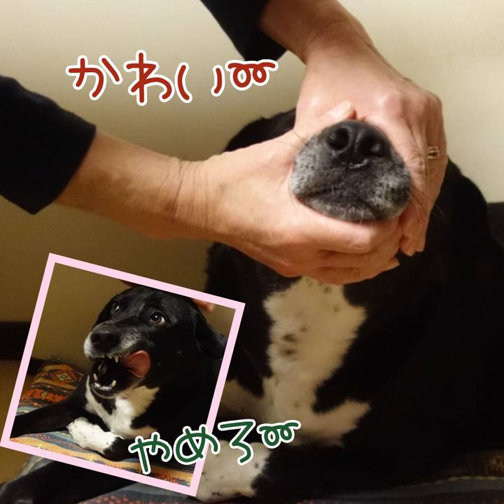 Dc48deda a404 4a44 8429 d40a1f14908a 1698837777918