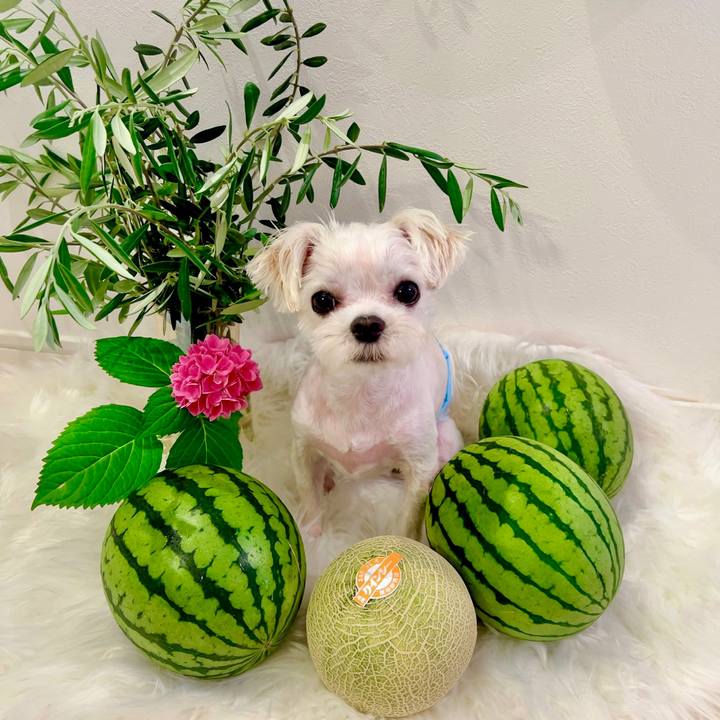 Dc48fca0 9b24 4357 9ef3 639419c49da2 1685088732078