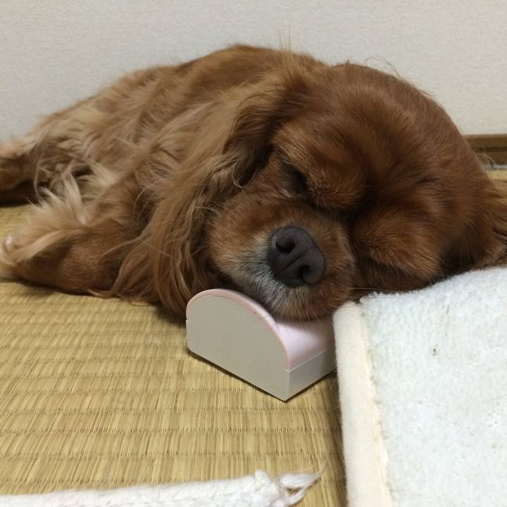 Dc490c0c f9ec 440c 81b5 dbf7f9ea325a 1646950347922