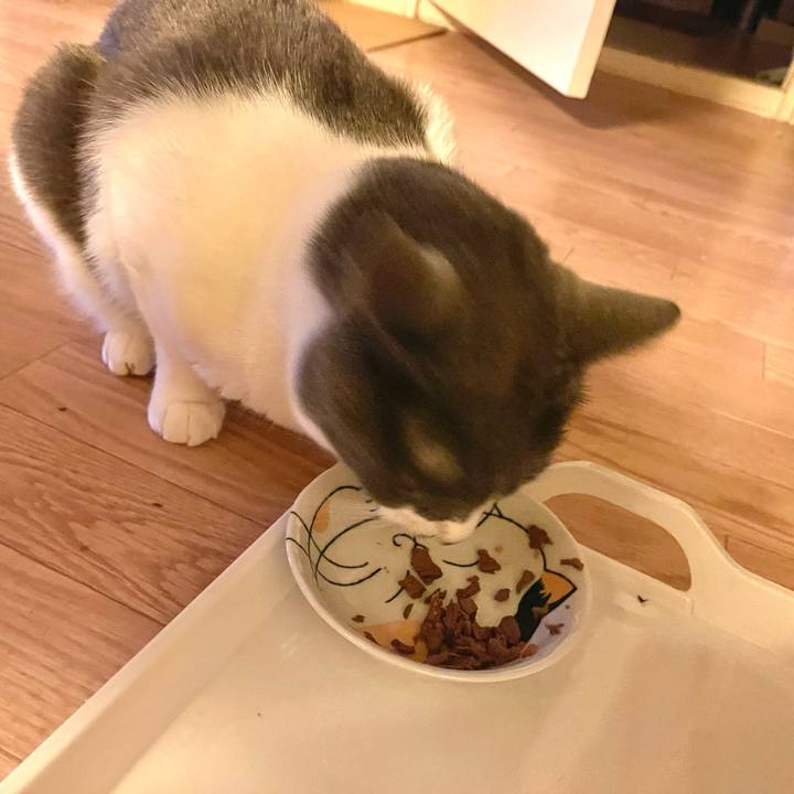 Dc491450 7d5a 449c 84fb 08ebb3adfe5b 1659603673028