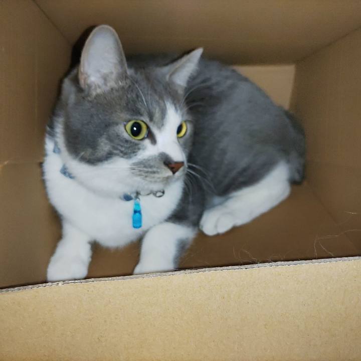 Dc491691 a2d2 413c 9357 215a1fac4fe8 1673611139221