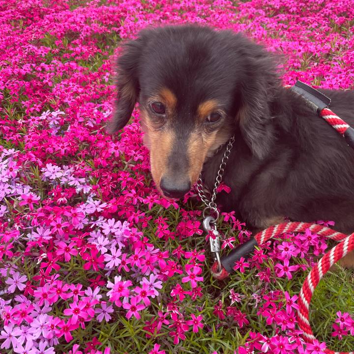 Dc491e3e 9ff2 43b8 9916 325ce9ec7094 1620250318303