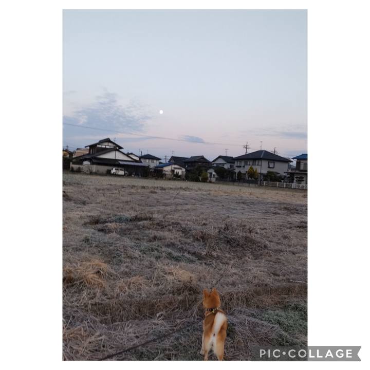 Dc492036 07d0 4745 8f70 f35a8f60d2ad 1703716664502