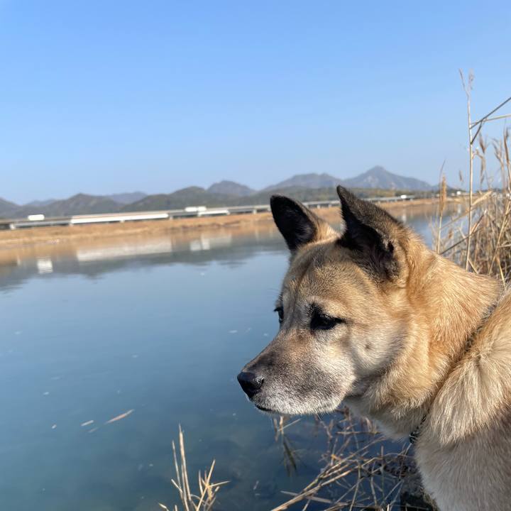 Dc492468 fd44 4f2c be53 fa7f1bab6369 1673252688570