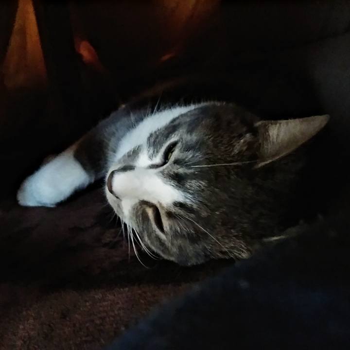 Dc494047 dc82 4d72 aba5 48fb9bc80cdc 1582875775273