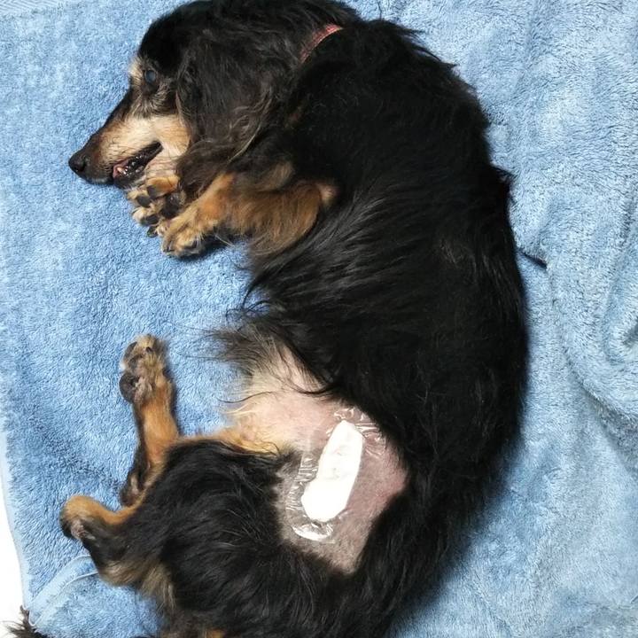 Dc4948ae 4e1f 4b4f a15c 81e78e063c5f 1635511327548