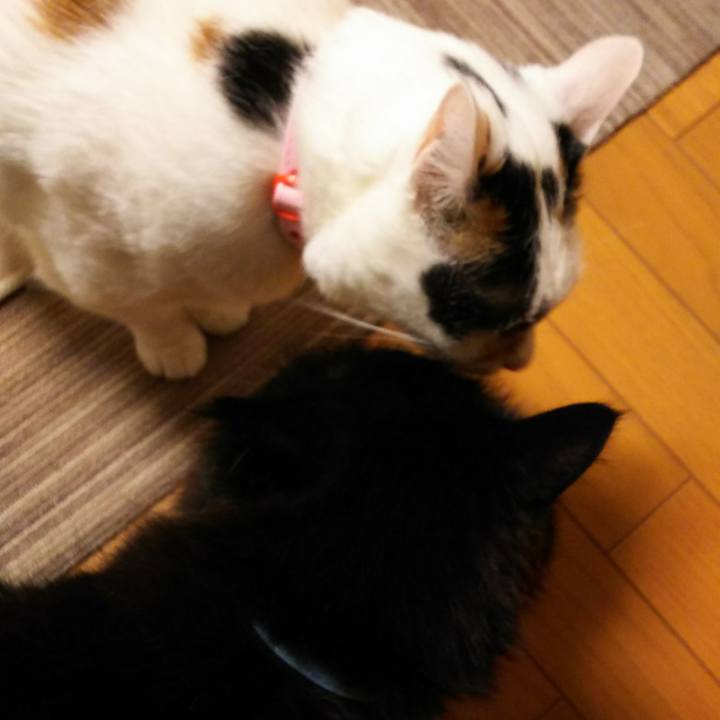 Dc497b50 e8f8 4c69 9df1 3927cb98a6ab 1519290265433