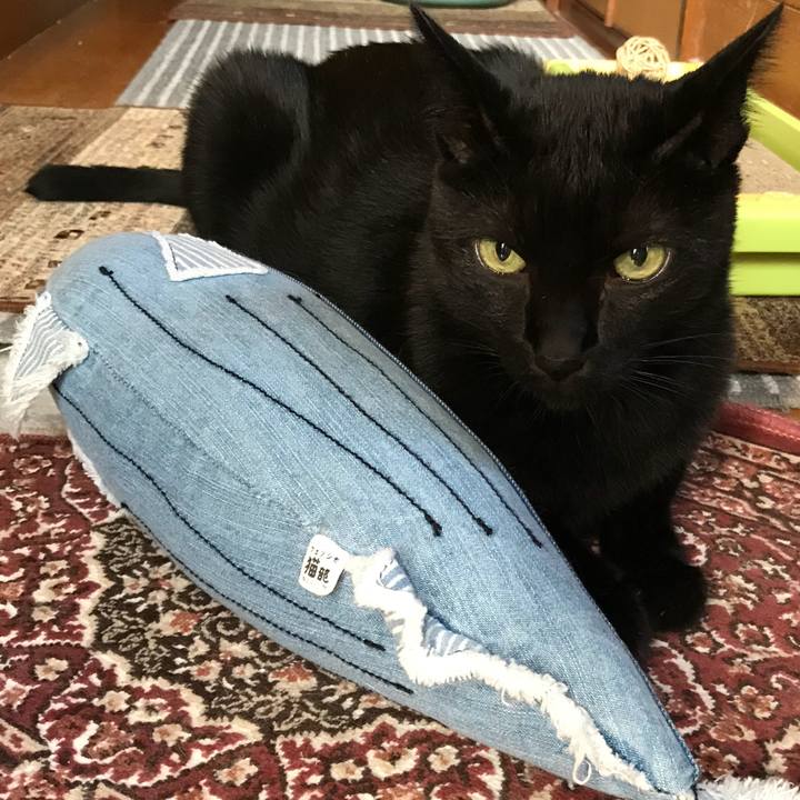 Dc49c5f0 80cb 4d64 b268 617eddd7c371 1535763703147