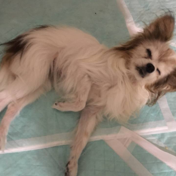 Dc49d491 d353 44f7 81cd 2689d71f97e0 1513493433757