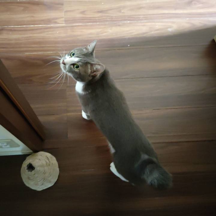 Dc4a2123 20bd 49f0 88d9 847f9b3b5c72 1663044876535