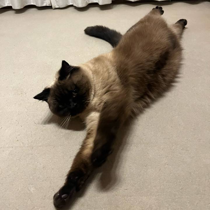 Dc4a3ec2 89ef 463e 95f6 ebb48006933d 1647345657447