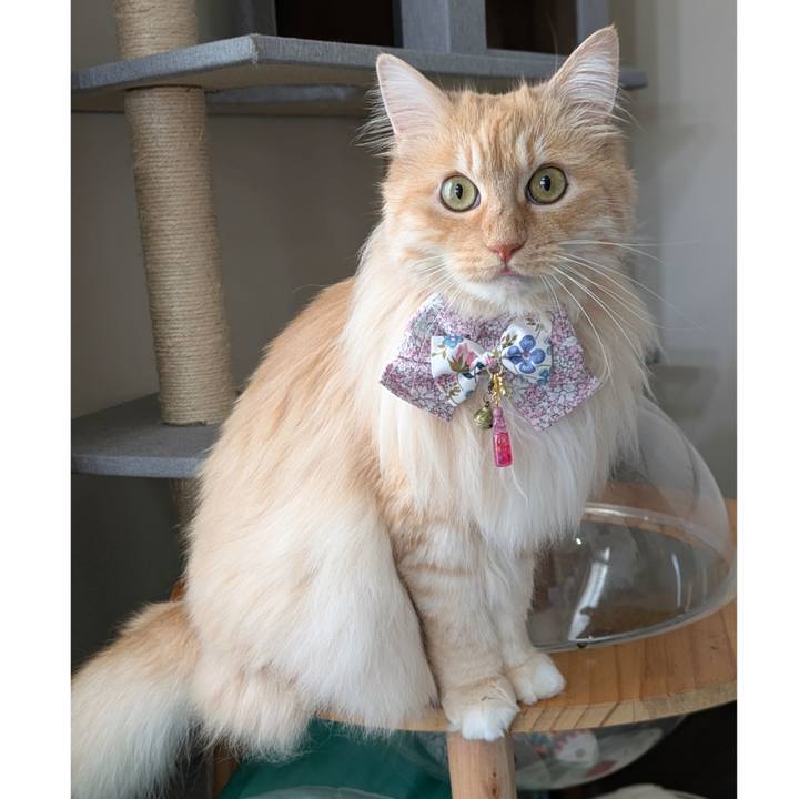 Dc4a43d0 5179 4f9f 9601 651a7a232c8e 1748844219597