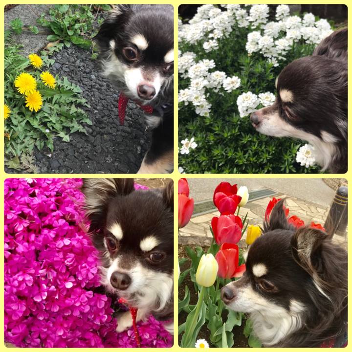 Dc4a474c 816a 45c4 bba9 cd4ce64048ec 1555050020556