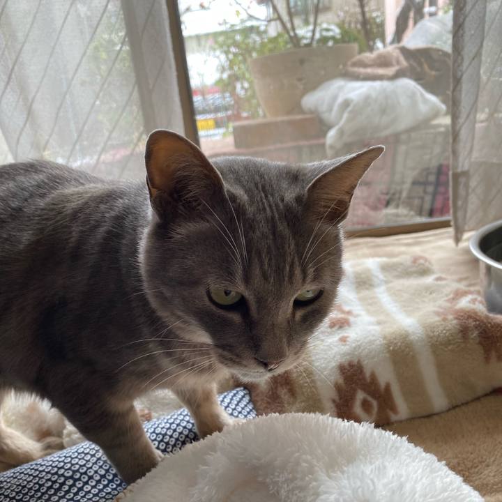 Dc4a5184 a7ec 48ef 9910 1612b6f7b68b 1585478637606