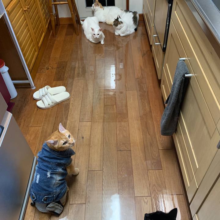 Dc4a56d9 6b68 45e2 bcf5 56df8afdbc48 1660651344335