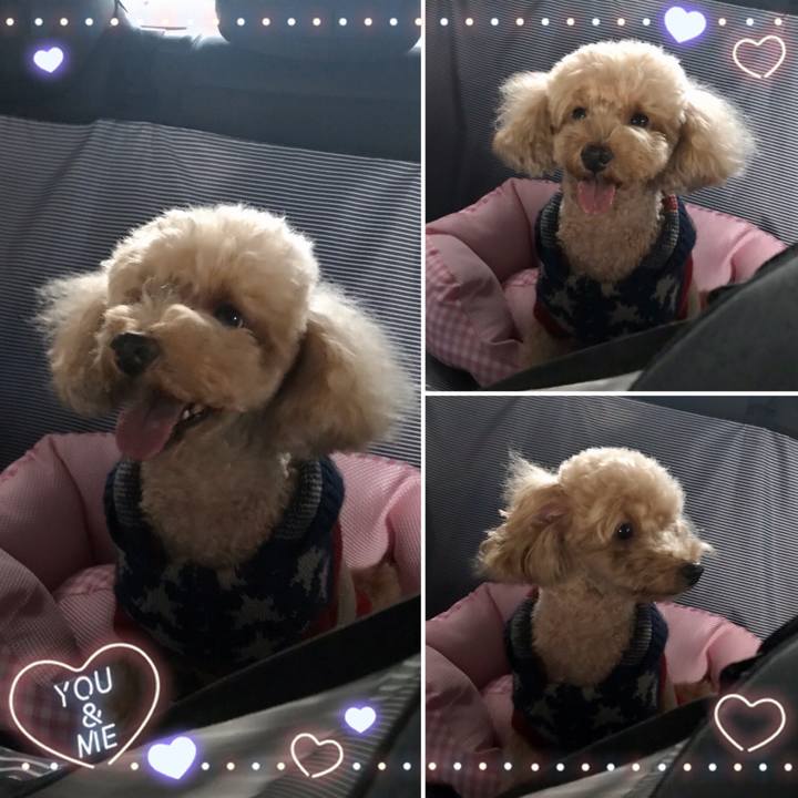 Dc4a7ff3 8ff1 4797 987a 67490ddde8e0 1575812054392