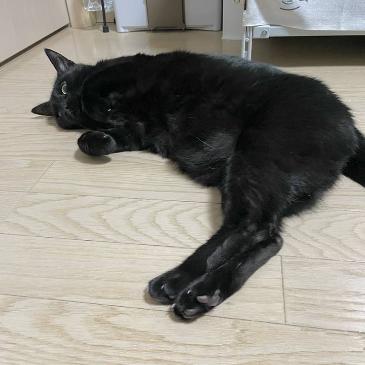 Dc4aa710 a0ae 4d40 a068 2852de0b0362 1736515996567