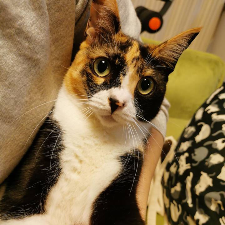 Dc4b4ce5 046d 4636 919f 7cf8a99c2e7c 1635739310870