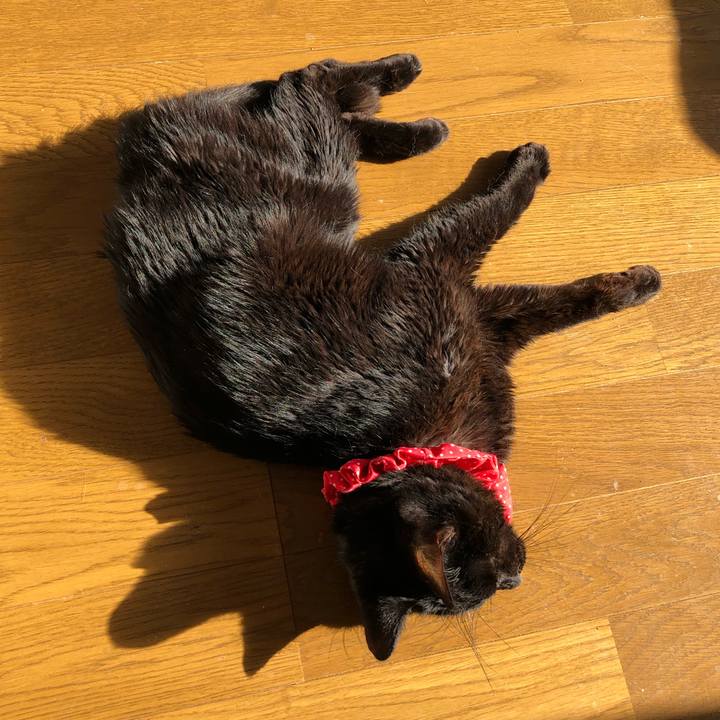 Dc4b57f6 6811 4893 ac08 46a449645047 1555720305472