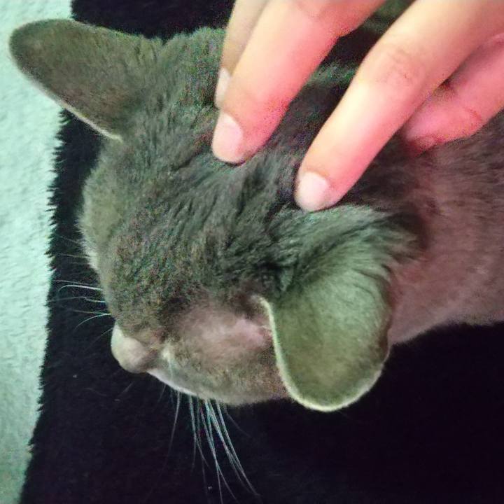 Dc4b705d b00f 4355 bd65 5b5fd7b4aa3d 1649049340561