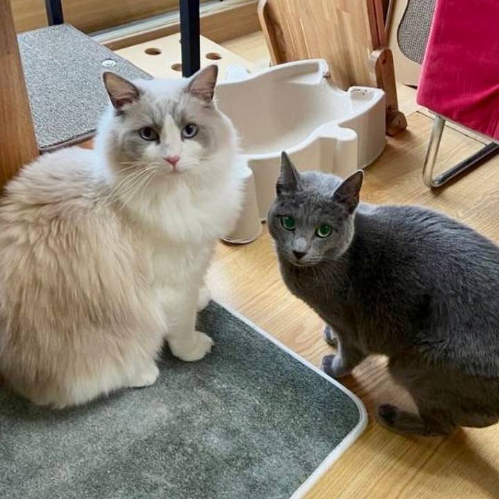 Dc4b8947 a4c5 403b 835e ca272947112f 1670163312865