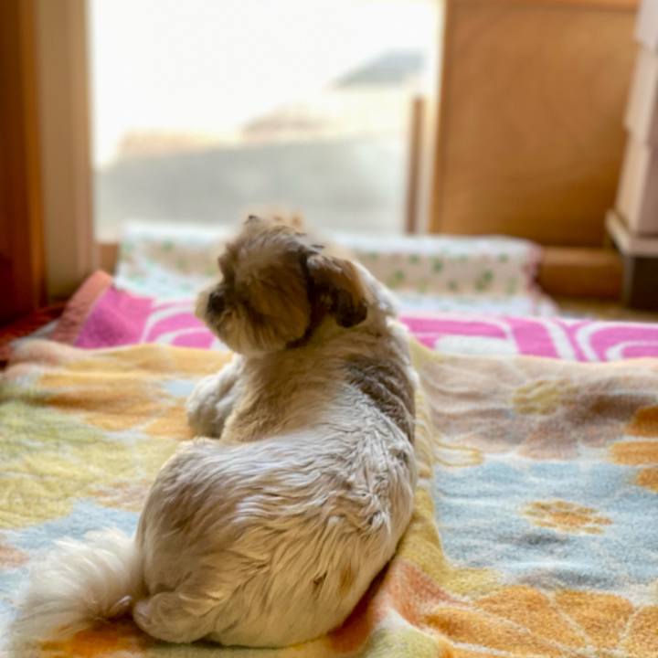 Dc4b9678 da25 4568 8815 d56d305c485b 1651792933829