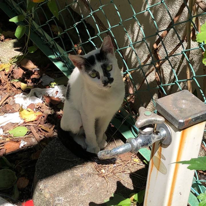 Dc4bb121 72b4 4df0 a493 d5047cb9952e 1534672930460