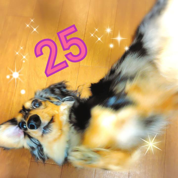 Dc4be10d 2396 416f a51c 5b17d0f7751b 1755304046604