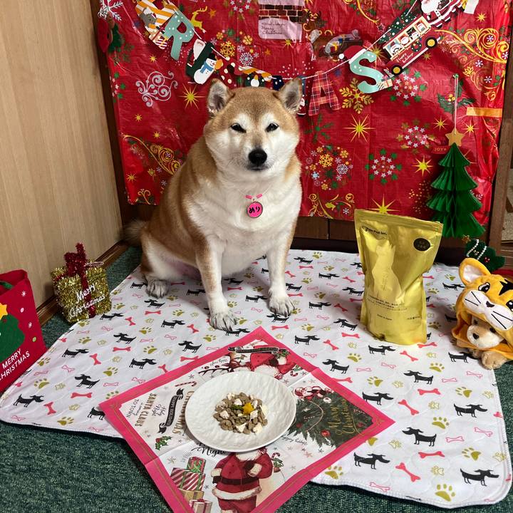 Dc4bfa9b 23e0 4fcf ac1d 383eb0b690ec 1669605225147