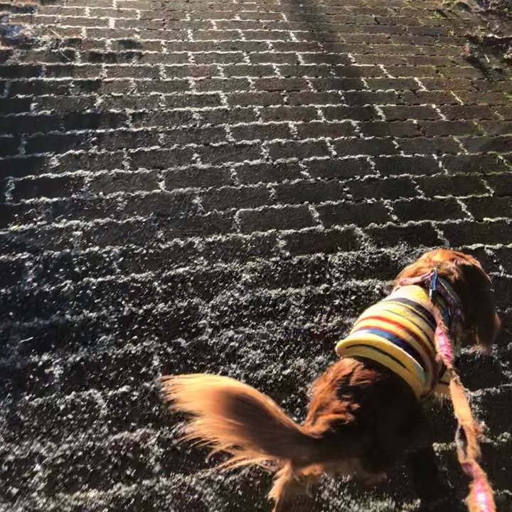 Dc4c0e16 9583 4aac 9fd5 12e841ed7c82 1639783111125