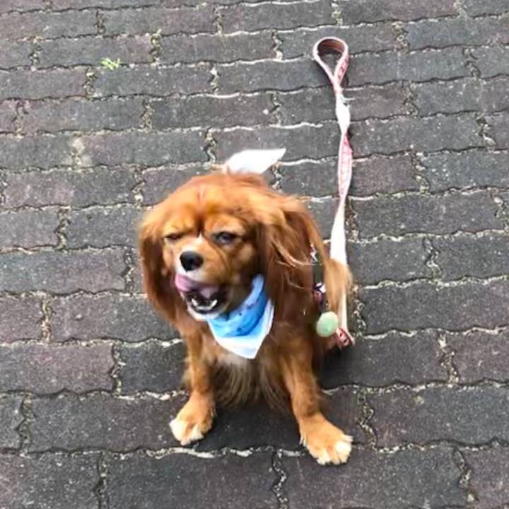 Dc4c1ca6 3b53 4140 a359 e9d86e9fbedc 1593300199967