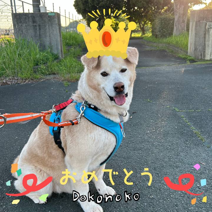 Dc4c2006 0cb1 47bf 9c9c 88c2a4c37eca 1685946336993