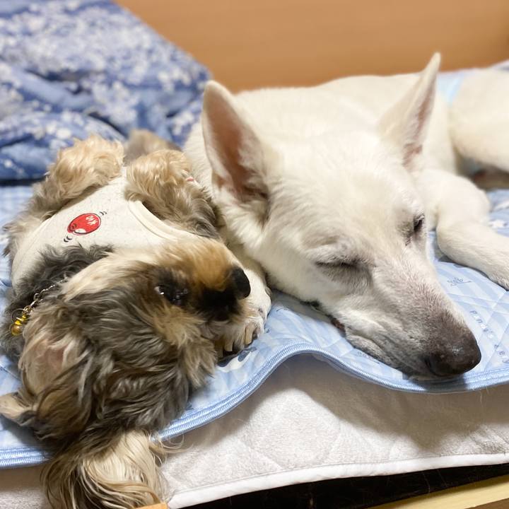 Dc4c3439 b86b 4cb1 a51c 255fc1e34156 1667383344662