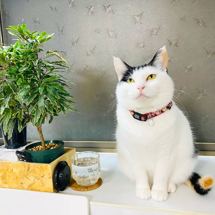 Dc4c45a6 8184 441c a3dd 51b0194ddcd3 1683376393439