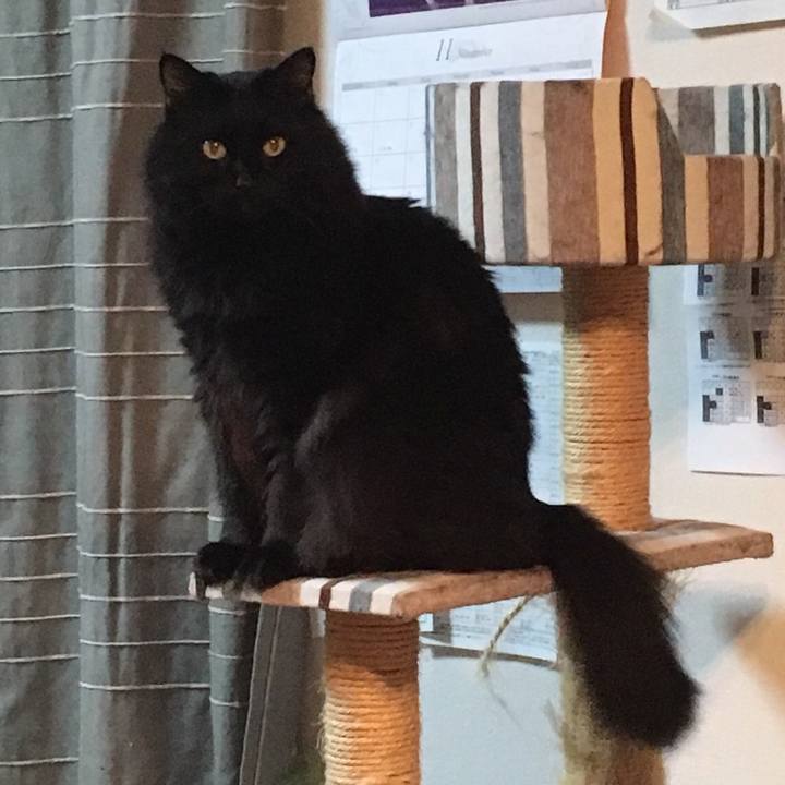 Dc4c4e60 c1ed 4015 9de8 91b7d645eb2e 1541404460424