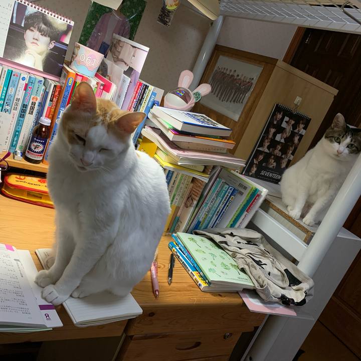 Dc4c5888 5c83 429b abd3 600aa7402d0f 1606000196639