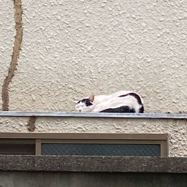 Dc4c7141 531a 48d9 b181 05cc5dd0b89c 1666507046150