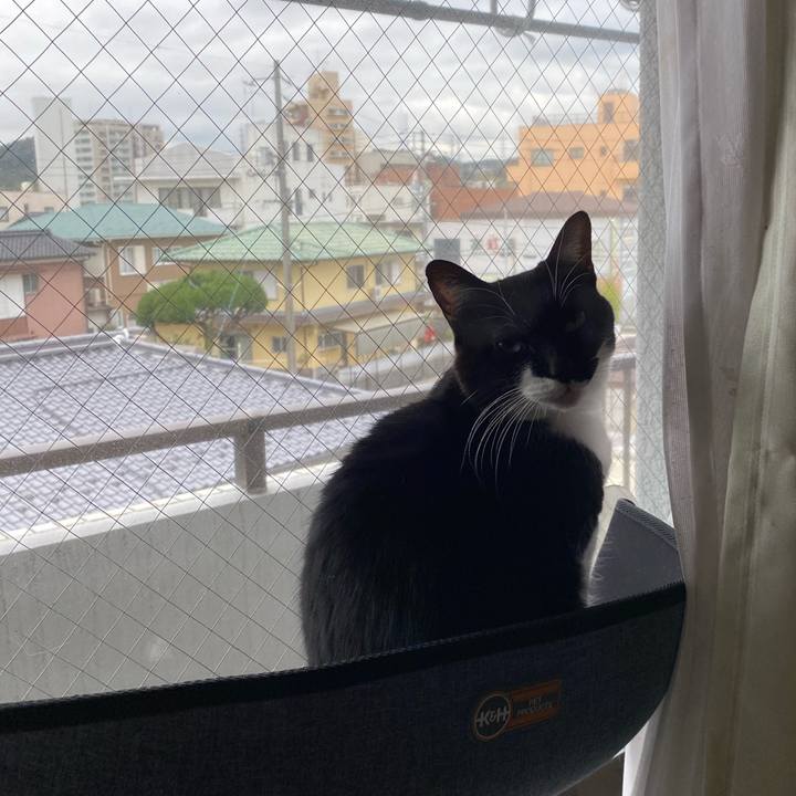 Dc4c7b80 8761 4df8 af51 62568f2733bb 1614938879718