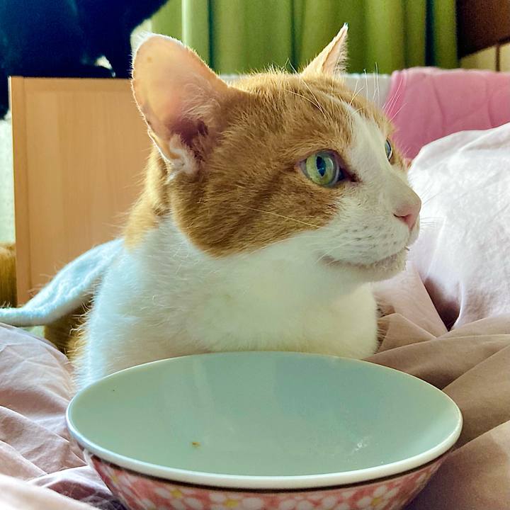 Dc4c8581 c187 4973 90d9 39cc17329c37 1649390833518