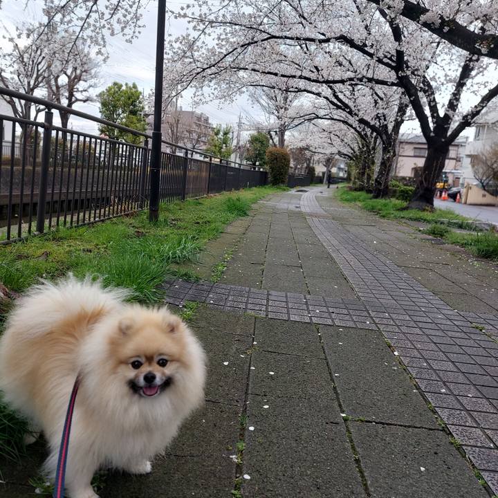 Dc4ca51e 2d70 4786 beb9 12017fcb5785 1743715716475