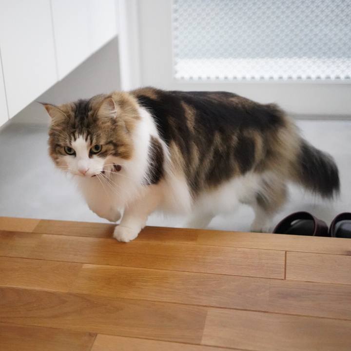 Dc4ca60c bf52 486a 89a8 31358b77062b 1615880714201