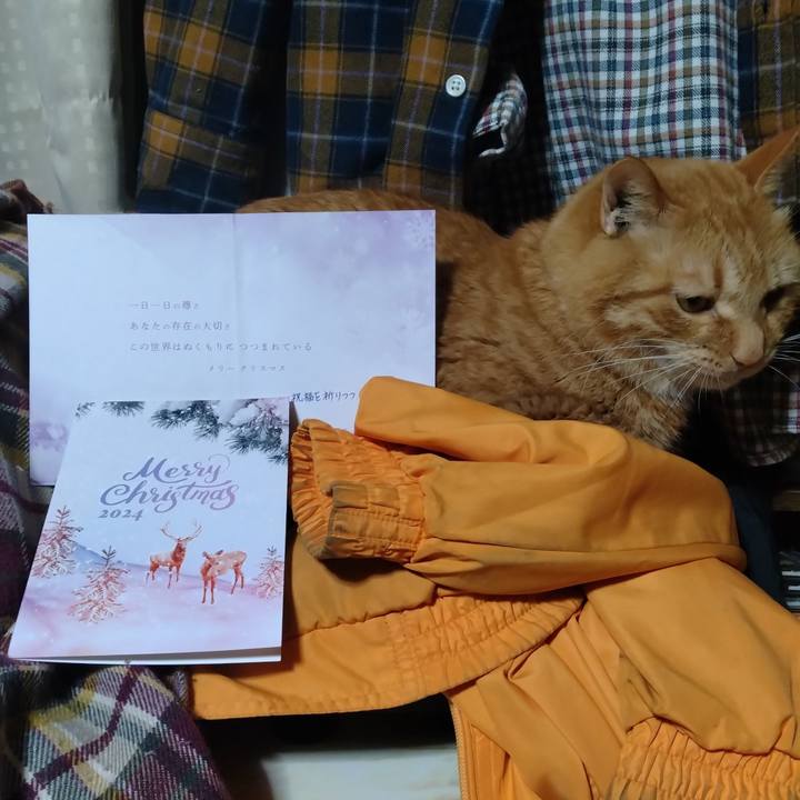 Dc4cb6ed 6c7c 4c7a 88ec 6352b737356d 1734997479436